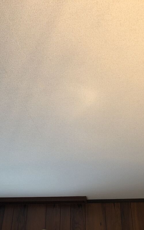 写真 2021-09-03 12 03 01