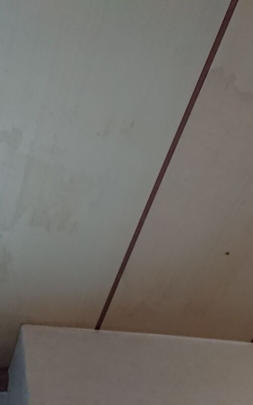 天井雨漏りのしみ1